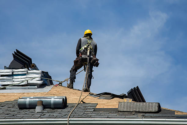 Professional Roof Repair technician working in Oquawka, IL